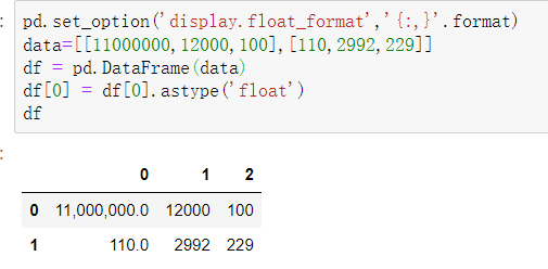 pandas display format example